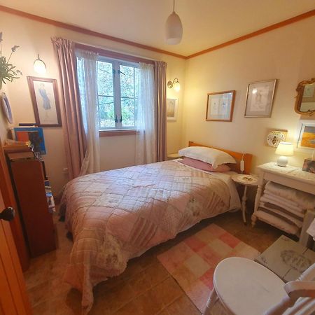 Bumblebee Cottage Greytown Exterior foto